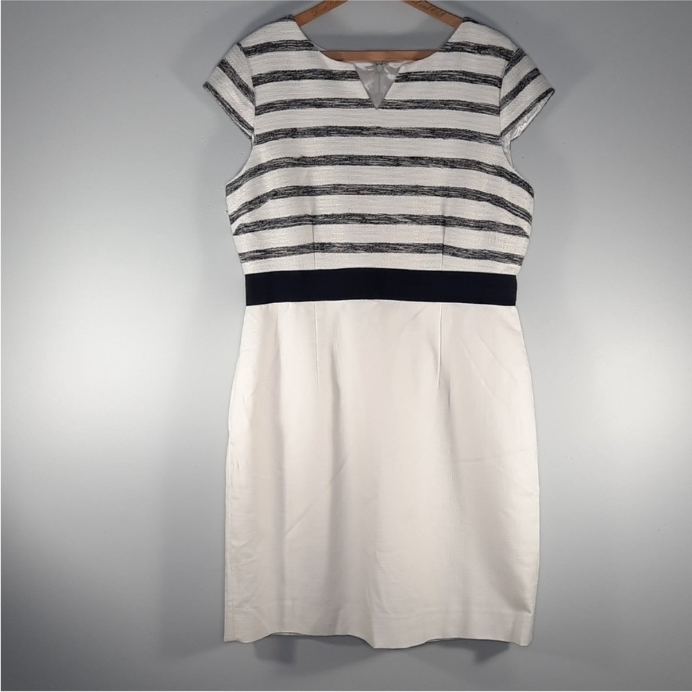 NWT Antonio Melani Ivory & Navy Dress Sz 14